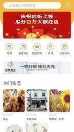 哇听
