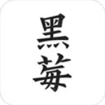 黑莓小说