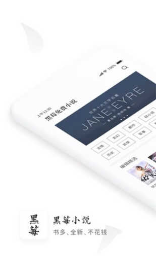 黑莓小说