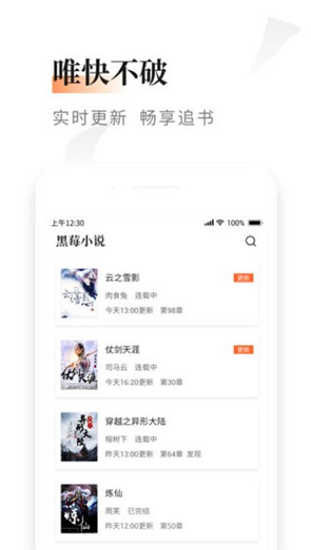 黑莓小说