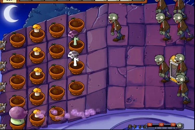 植物大战僵尸β版v6.00