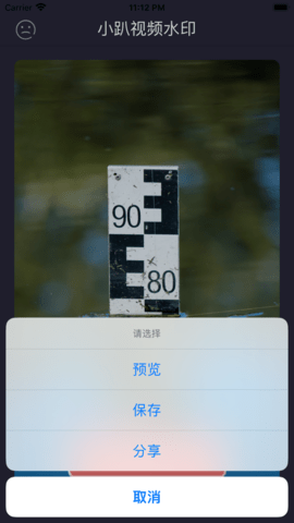小趴视频水印