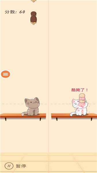 猫咪天堂