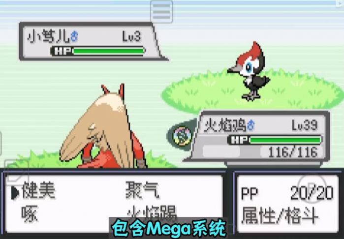 口袋妖怪黑色战舰金手指