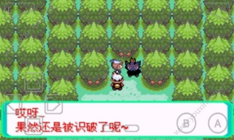 口袋妖怪漆黑的魅影内置修改器