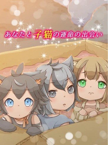 我与小猫共处一室