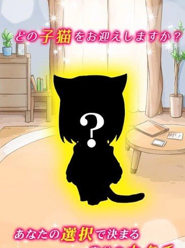 我与小猫共处一室