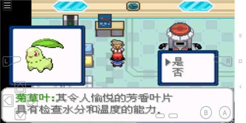 口袋妖怪去吧洛奇亚  