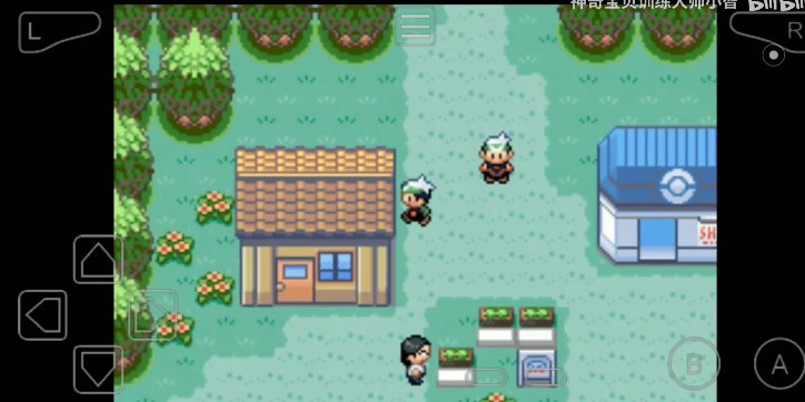 口袋妖怪末日血族  