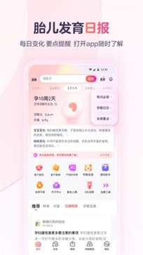 宝宝树孕育