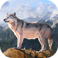 狼王狩猎模拟