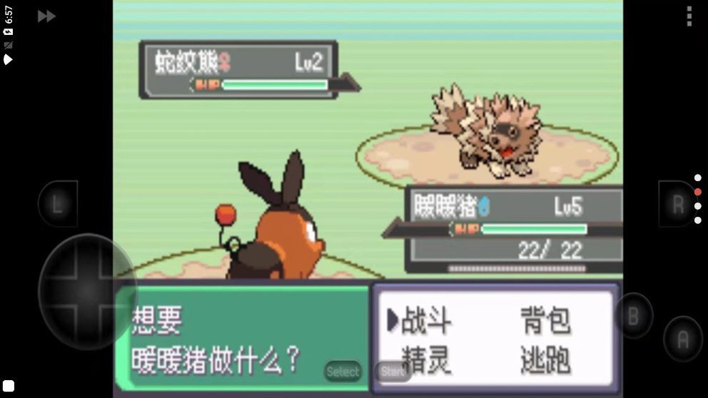 口袋妖怪漆黑的魅影金