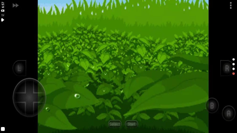 口袋妖怪漆黑的魅影金