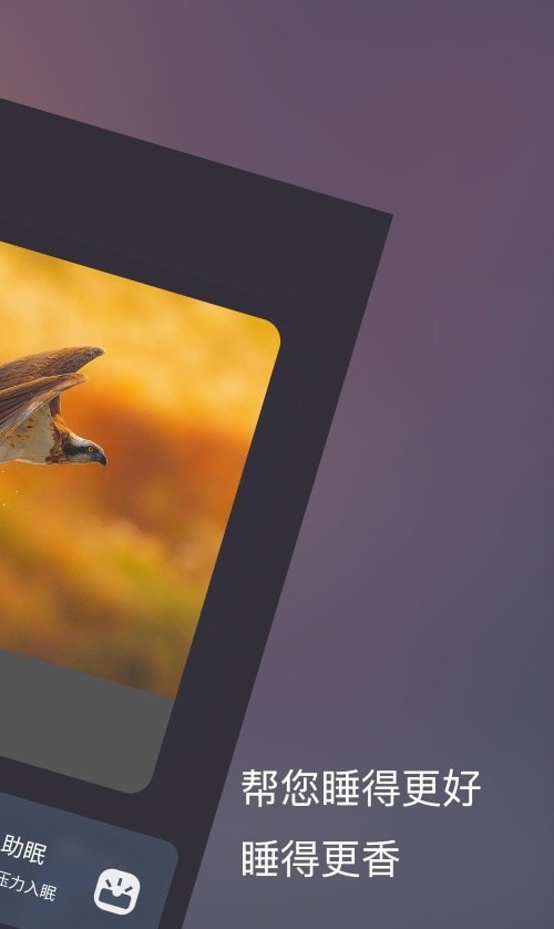 好睡眠