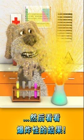 会说话的狗狗本