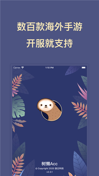 树懒acc