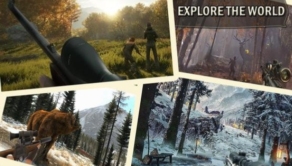 狙击手动物射击3D