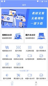 秒去水印王