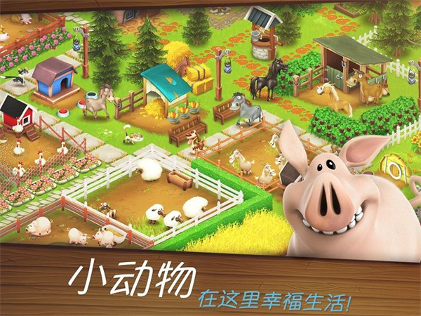 hayday