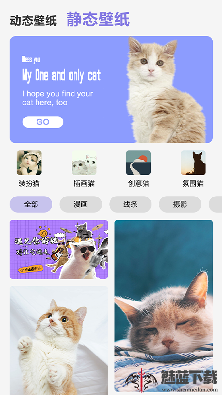 可爱喵喵壁纸大全