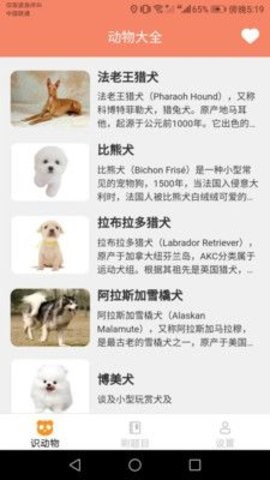 你好刷刷宠物百科