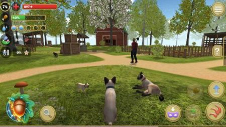 喵星人出逃记图3