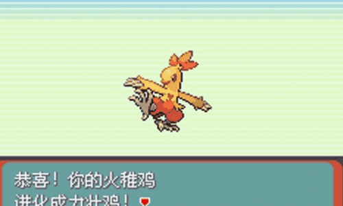 口袋妖怪绿玛瑙