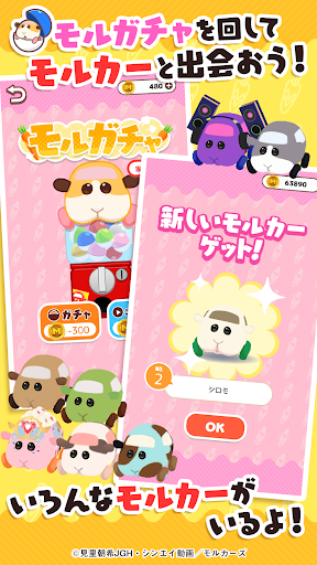 puipui天竺鼠车车嚼嚼停车场