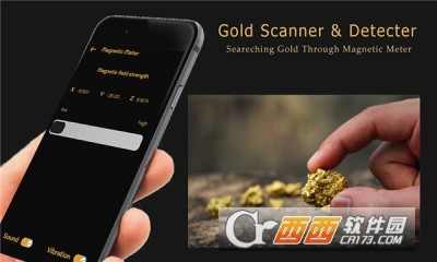 Gold Scanner金属探测仪