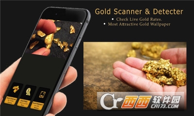 Gold Scanner金属探测仪