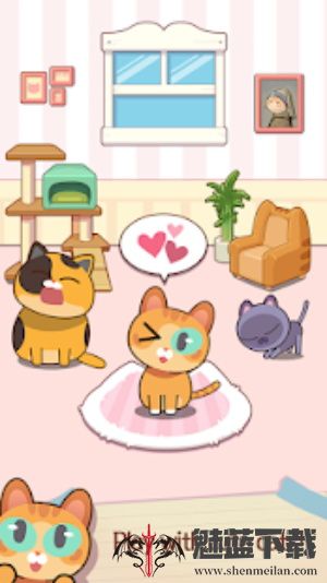 猫咪弹钢琴