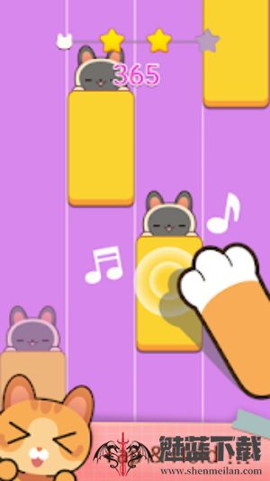 猫咪弹钢琴