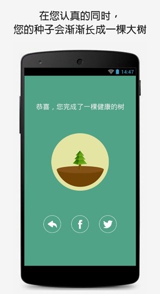 forest专注森林