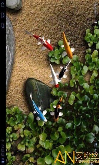 自由锦鲤动态壁纸