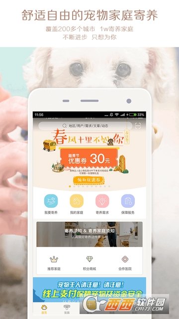小狗在家宠物狗猫
