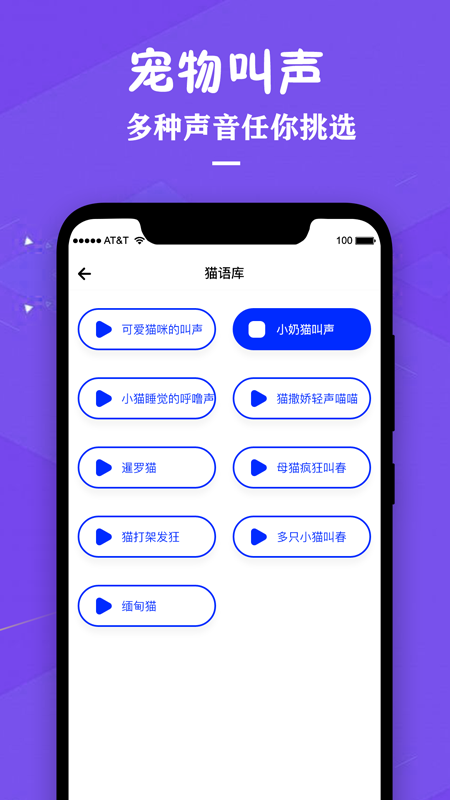 小猫翻译器