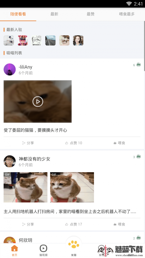 养猫圈