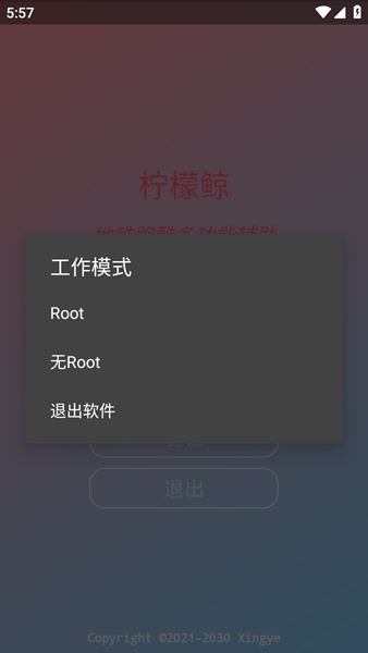 地铁跑酷柠檬鲸悬浮窗