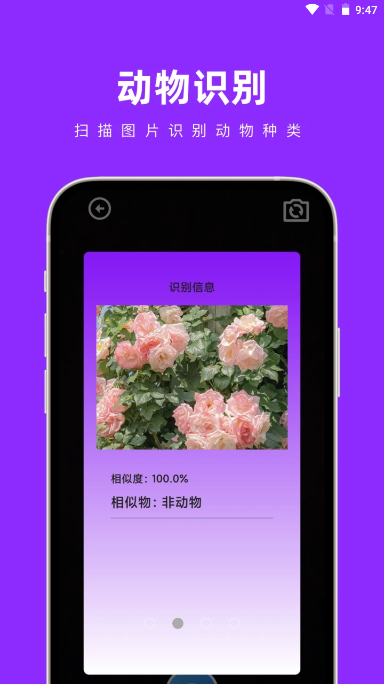 奇妙扫扫箱