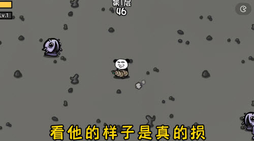 土豆地下城夺笋熊猫