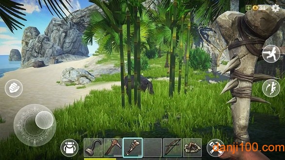 最后的海盗岛屿生存