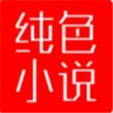纯色小说
