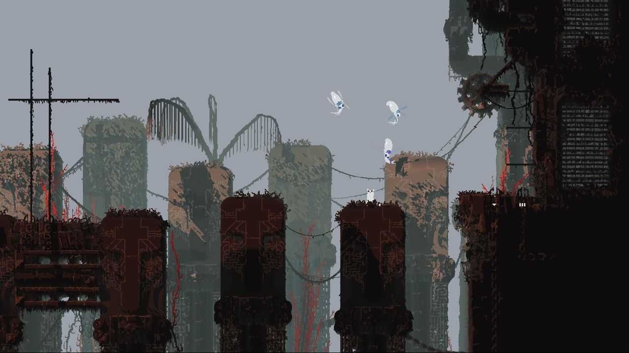 雨的世界