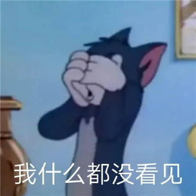 猫和老鼠沙雕表情包gif(暂未上线)
