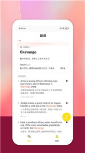 秒懂翻译
