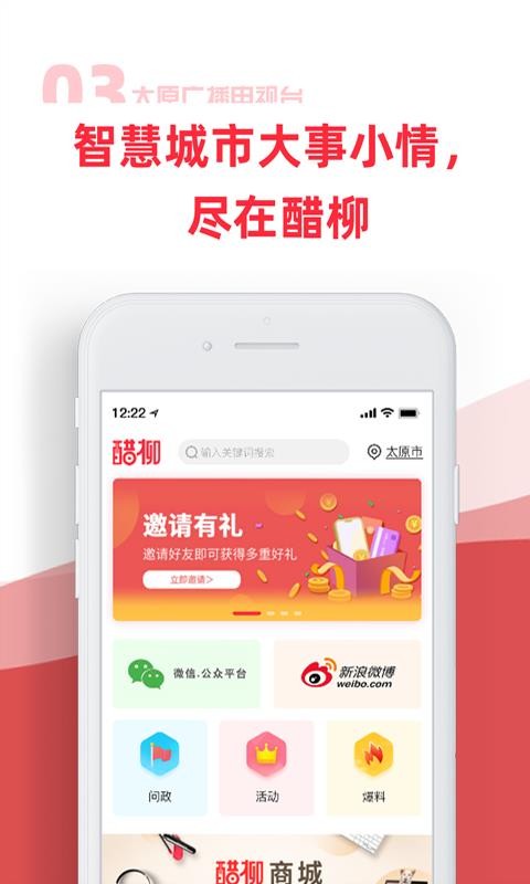 醋柳