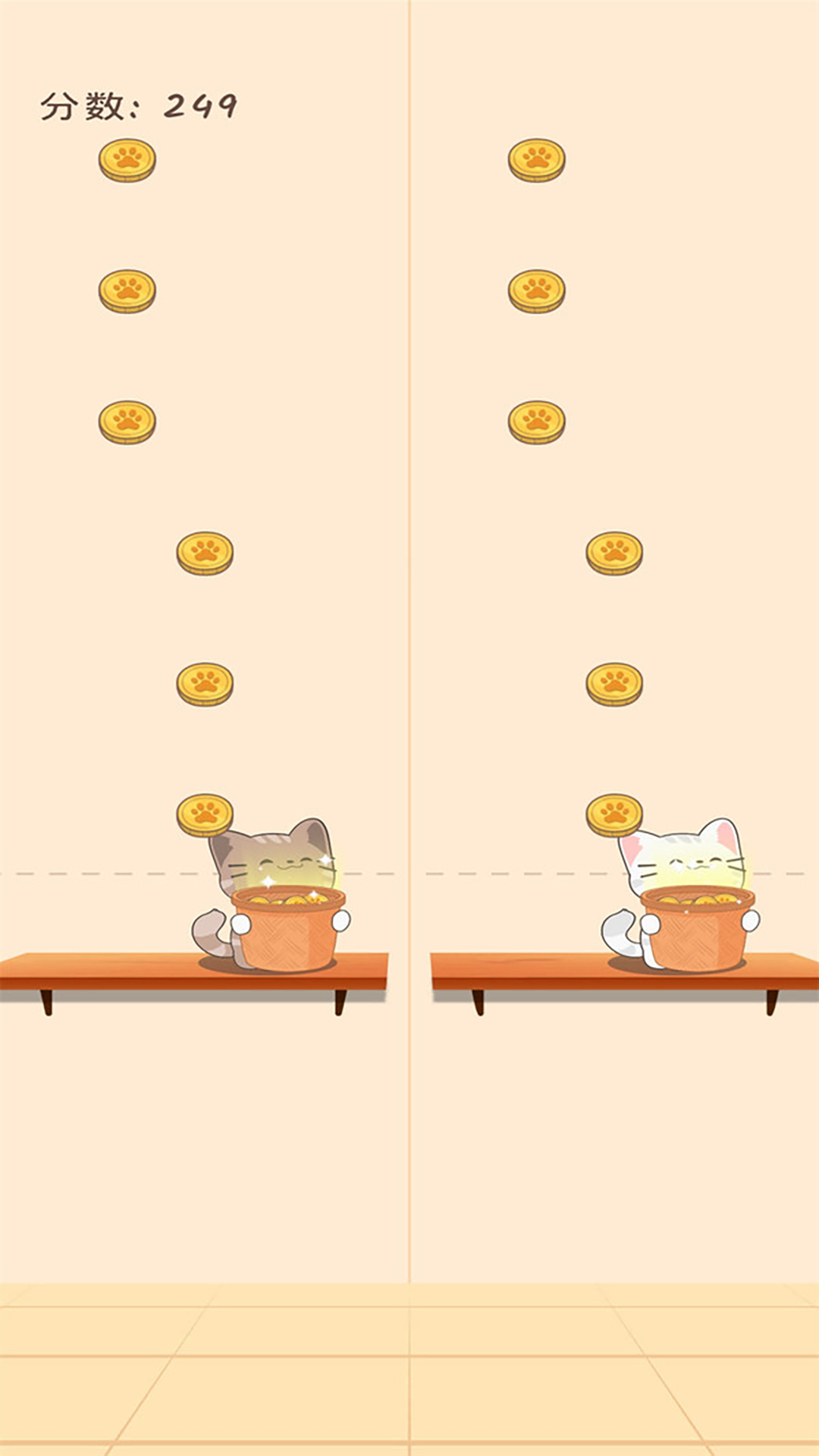 猫和汤