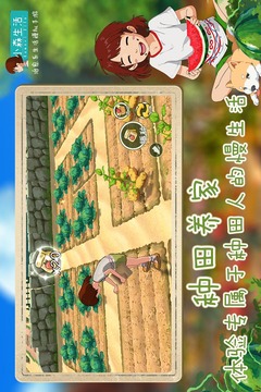 小森生活风之岛