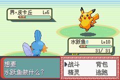 口袋妖怪忆梦之巅