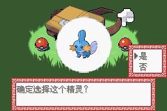 口袋妖怪忆梦之巅